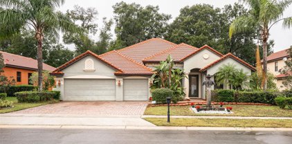 2848 Falconhill Drive, Apopka
