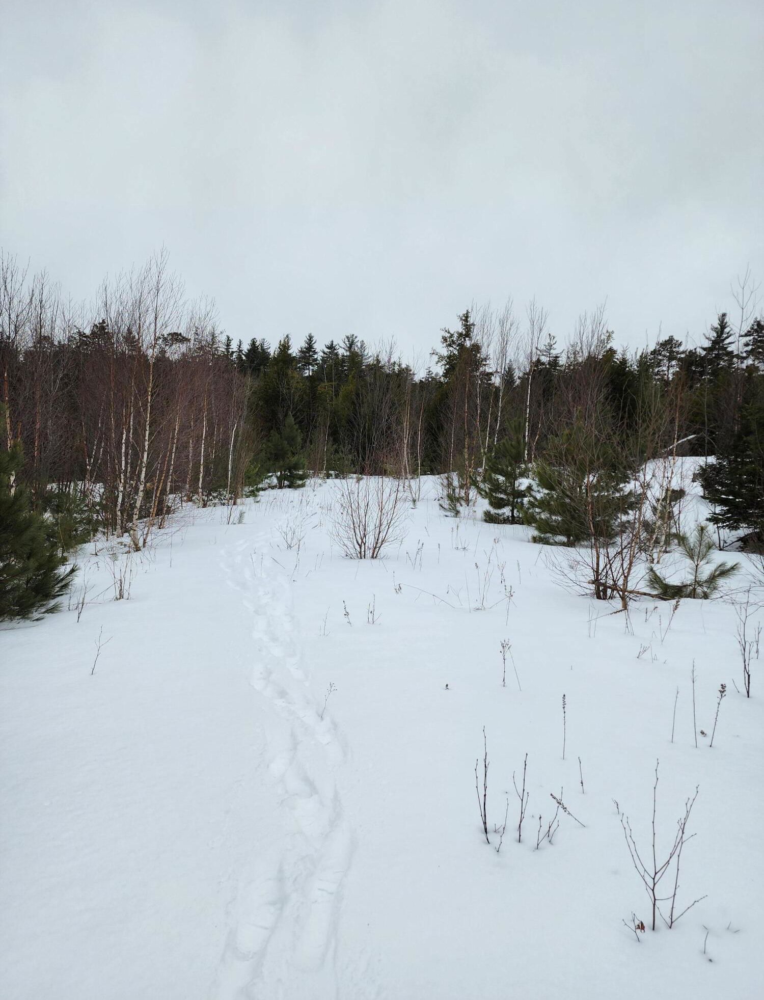 off West Pleasant River Lake Road, Beddington, 04622