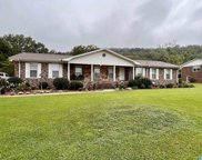 806 Cotton Avenue, Oneonta image
