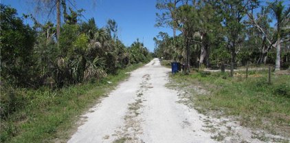 Samadani  Lane, Bokeelia