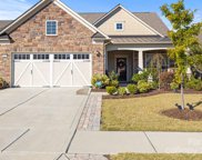 5220 Sweet Fig  Way, Fort Mill image