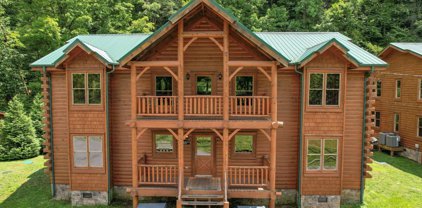 307 CANEY CREEK RD, Pigeon Forge
