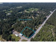 Highway 101 TL3100, Bandon image