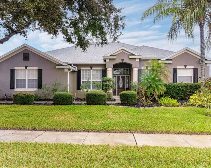 2711 Spicebush Loop, Apopka