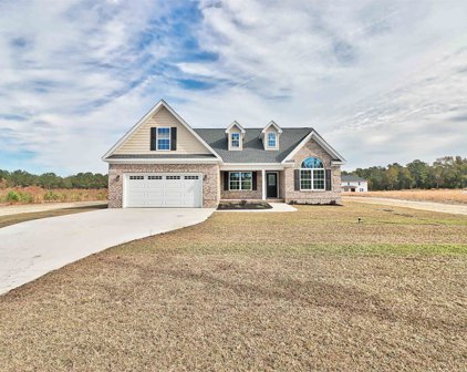 4784 J H Martin Rd., Galivants Ferry