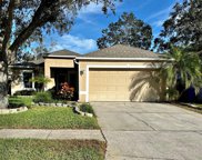 1108 Soaring Osprey Way, Valrico image