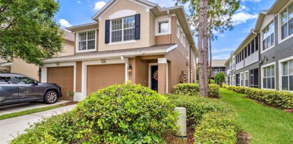 10209 Spanish Breeze Court, Riverview