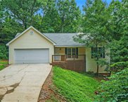 6537 River Hill Drive, Flowery Branch image