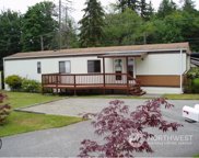 17004 E Lake Goodwin Road, Stanwood image