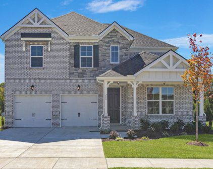 808 Cawthorn Lane, Mount Juliet