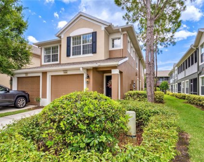 10209 Spanish Breeze Court, Riverview