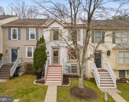 20217 Red Buckeye Ct, Germantown image