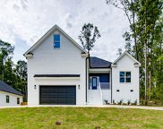 601 Newberry Drive, Chapin image