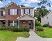 4207 Winding Branches Drive, Wilmington image