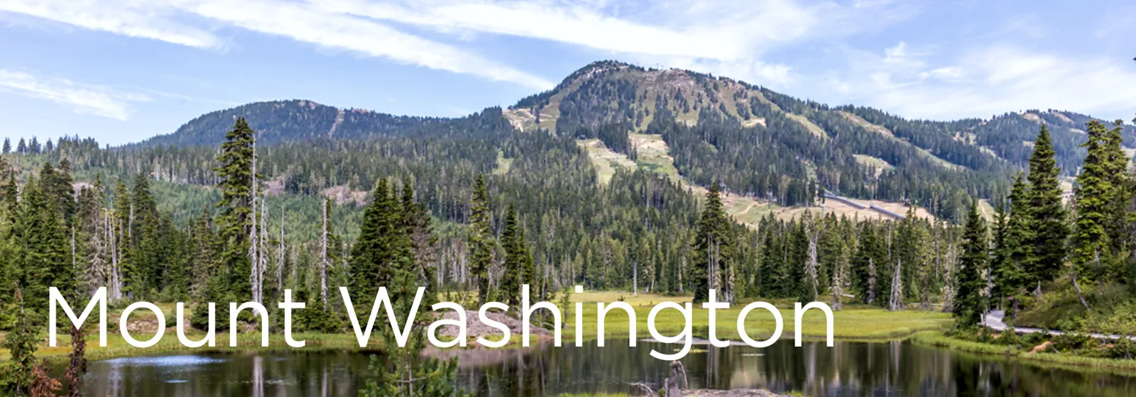 Mount Washington Real Estate
