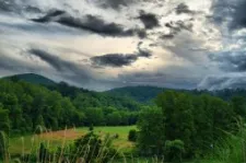 CANDLER NC