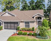 9621 Brookdale Drive, New Port Richey image