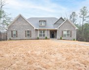 20719 Waters View, Mccalla image
