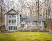 1034 Birchcrest Court, Harbor Springs image