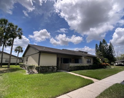 10 Lesley Lane, Oldsmar
