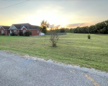 4108 Lillie Field Ln, Chapel Hill