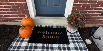 7721 Arlen St, Annandale