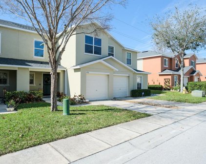 1956 Sunset Meadow Drive, Clearwater