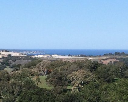 8390 Monterra Views, Monterey