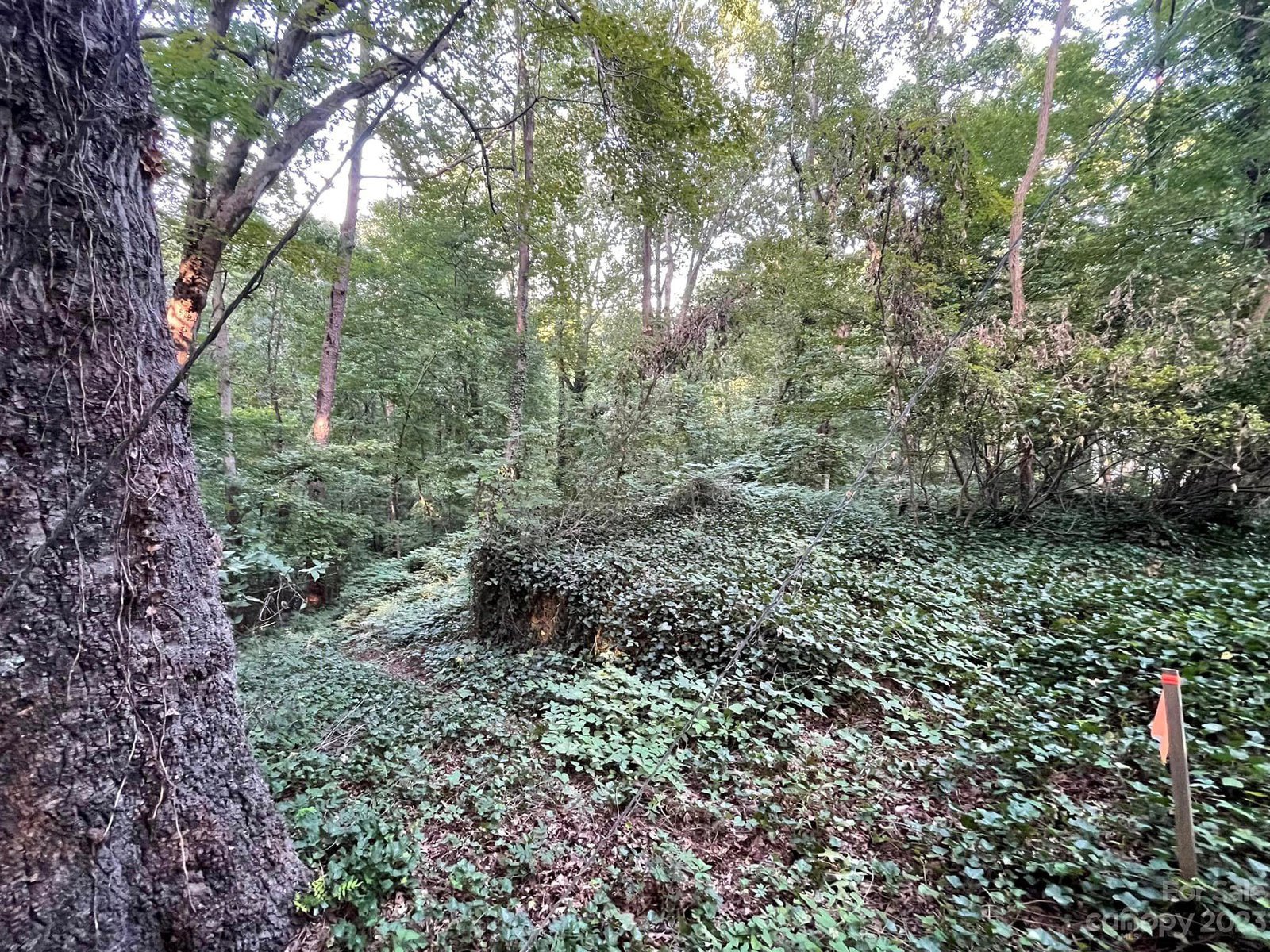 Payne Street, Tryon, 28782