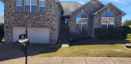 513 Cinnamon Pl, Nashville