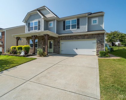 12029 Virginia Pine  Lane, Pineville