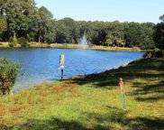 74 Bermuda Downs, Saint Helena Island image