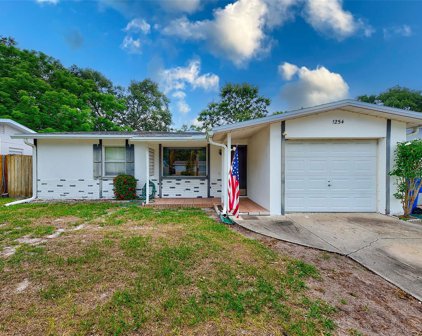 1254 8th Avenue Ne, Largo