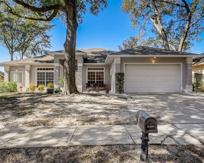 441 Deer Pointe Circle, Casselberry