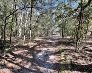 3230 Windell Wilkerson Rd, Macclenny image