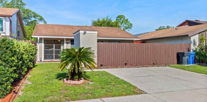 10306 Fernglen Place, Tampa