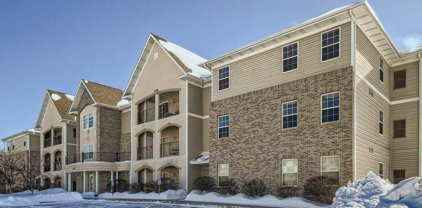 15631 Linnet Street NW Unit #3-201, Andover