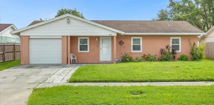 2937 Ravenall Avenue, Orlando