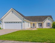 1117 Pine Ridge St., Conway image