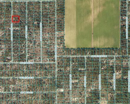 00 Sw Arrow Leaf Trail, Dunnellon