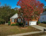 209 Magnolia Bluff Drive, Columbia image