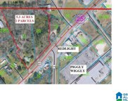 13645 Highway 411, Odenville image