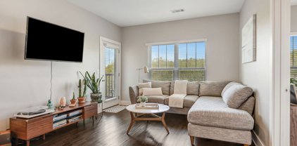 934 Governors Ct Unit #308, Antioch