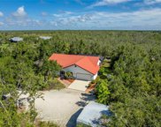 29388 Taralane Drive, Punta Gorda image