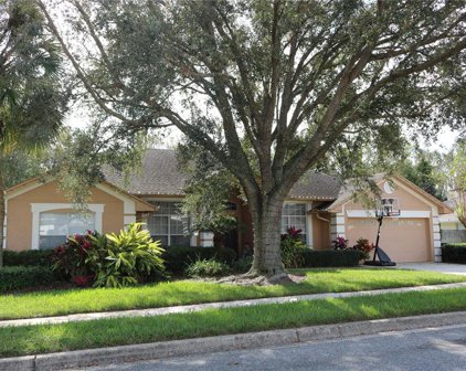 1140 Clinging Vine Place, Winter Springs