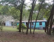 Ocklawaha image