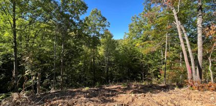 Lot 5 Caney Creek, Pigeon Forge