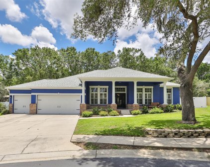 515 Crowned Eagle Court, Valrico