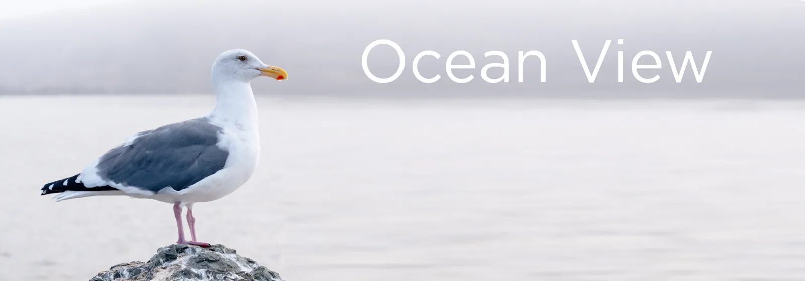 Ocean view homes for sale in Comox Valley