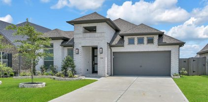 19031 Courser Field Court, Tomball